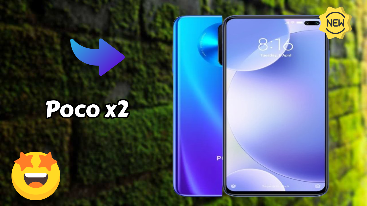 Is POCO X2 Good for Photography? 64 MP + 8 MP + 2 MP + 2 MP Rear Camera Review